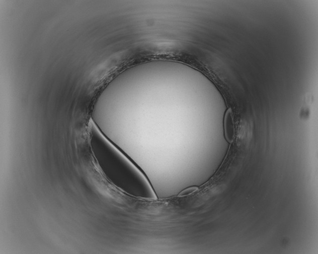 X0000113210916200910011316