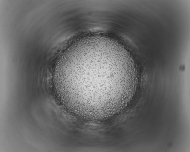 X0000113210917200910011316