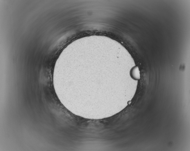 X0000113210918200910011316