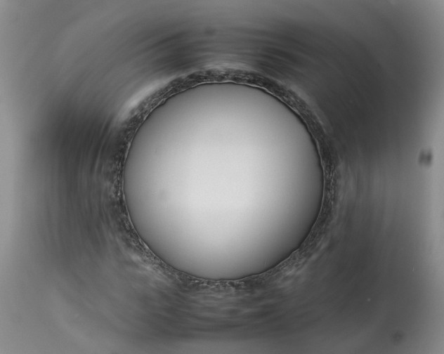 X0000113210919200910011316