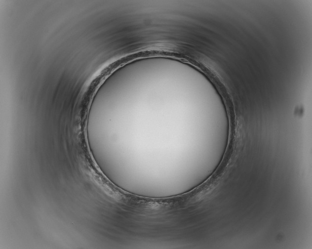 X0000113210923200910011316