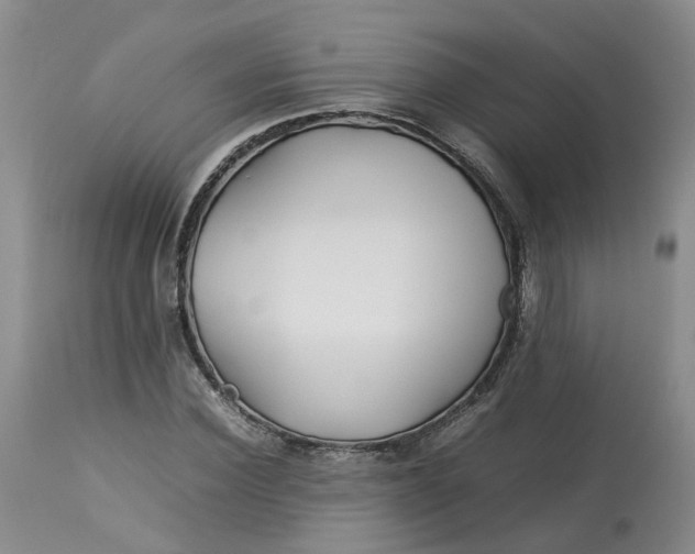 X0000113210924200910011316