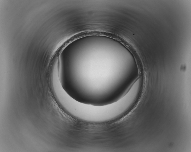 X0000113210925200910011316