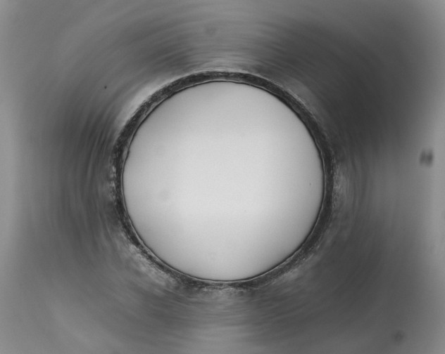 X0000113210926200910011316