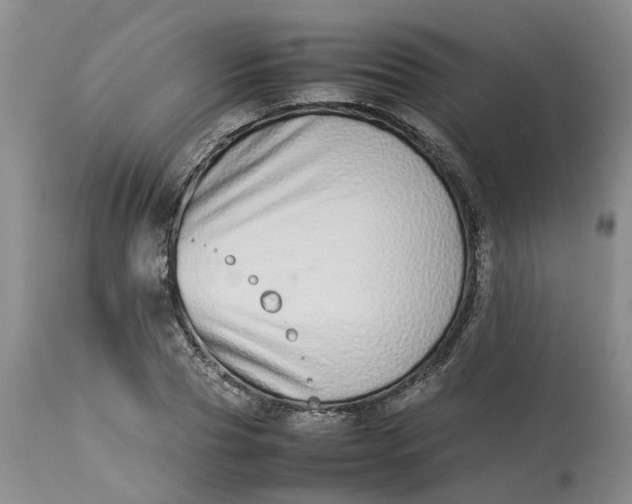 X0000113210929200910011316