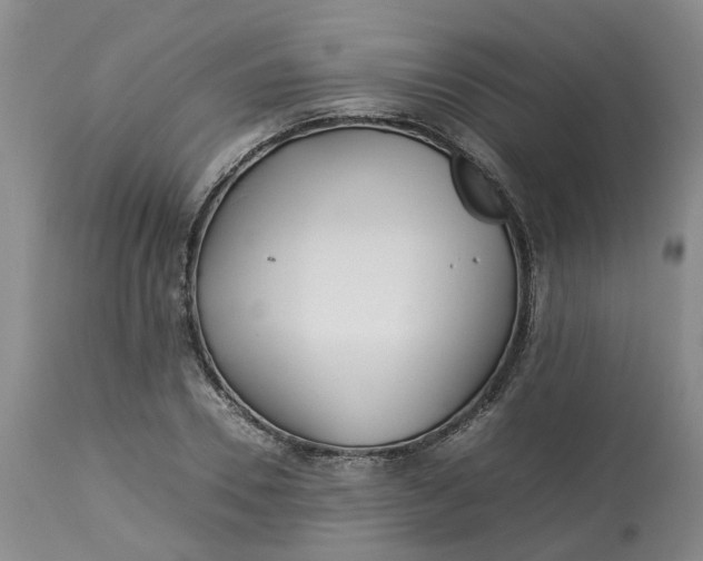 X0000113210930200910011316