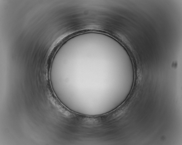 X0000113210931200910011316