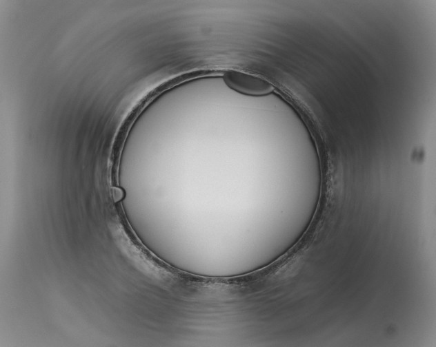 X0000113210932200910011316