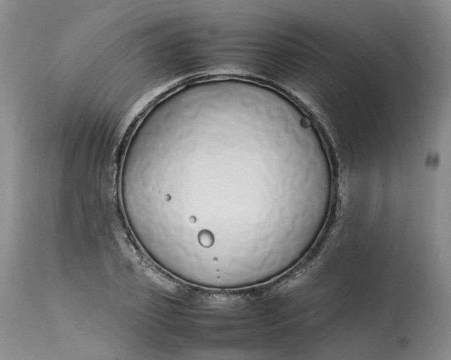 X0000113210933200910011316