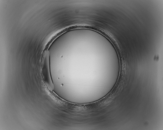 X0000113210935200910011316