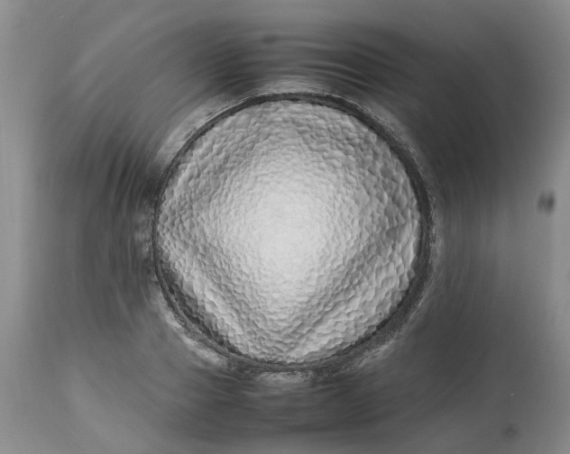 X0000113210937200910011316