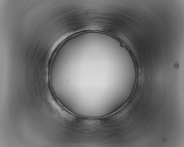 X0000113210939200910011316