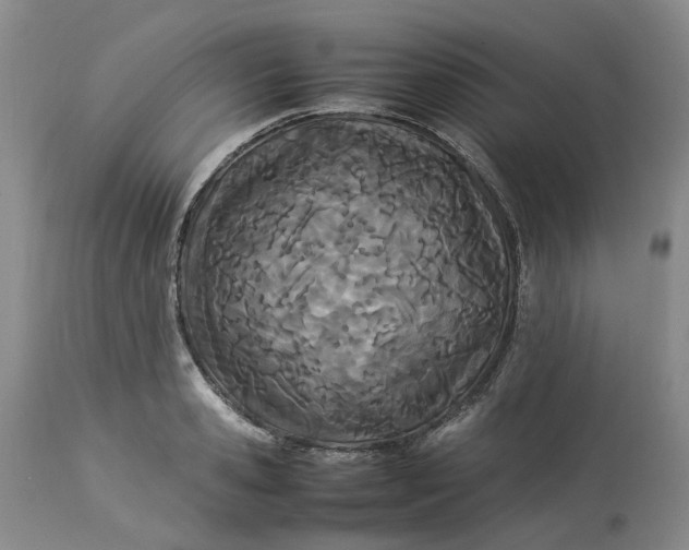 X0000113210941200910011316