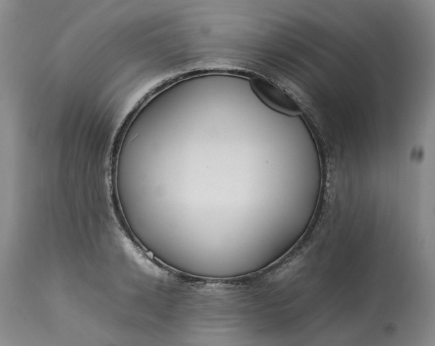 X0000113210942200910011316