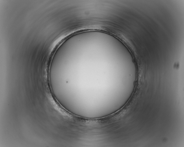 X0000113210944200910011316