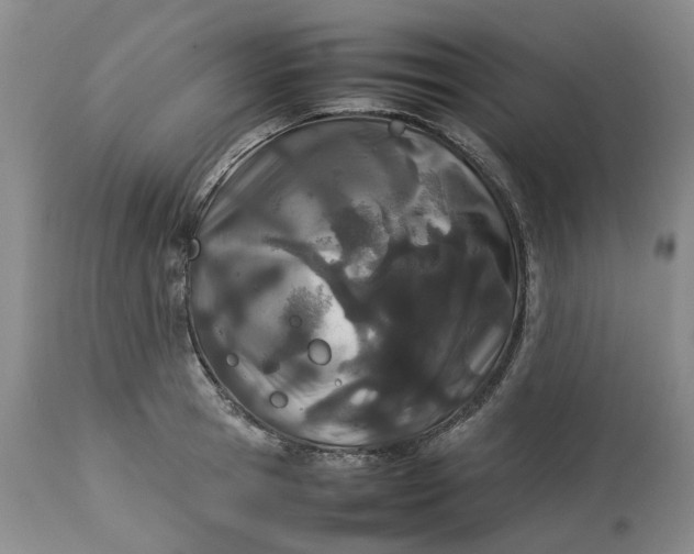 X0000113210945200910011316