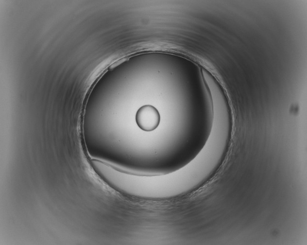 X0000113210946200910011316