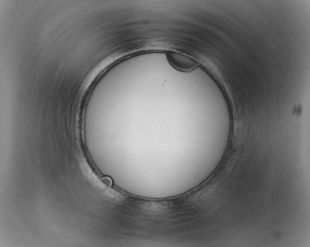 X0000113210947200910011316