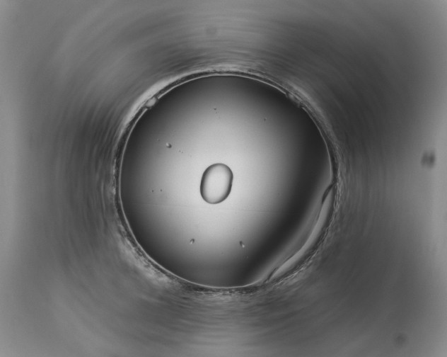 X0000113210948200910011316