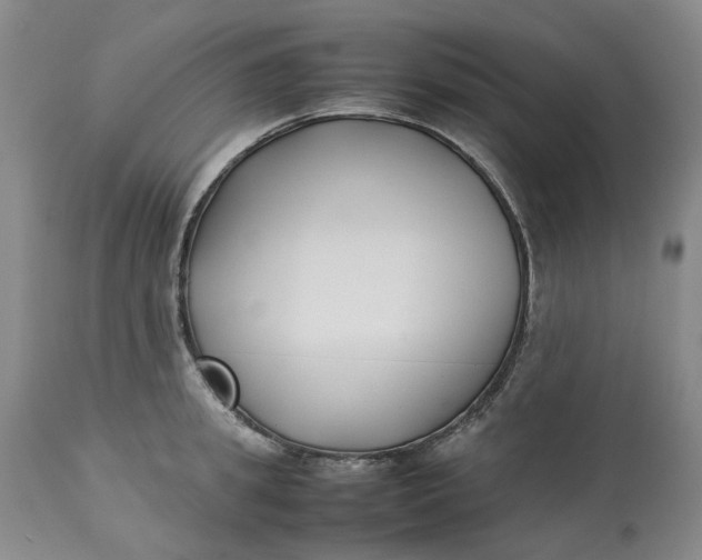 X0000113210949200910011316