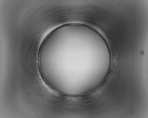 X0000113210951200910011316