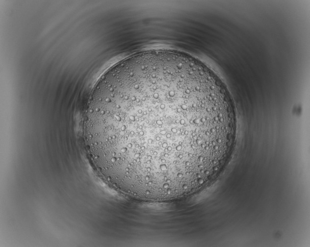 X0000113210953200910011316