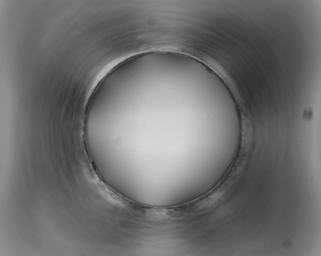 X0000113210956200910011317