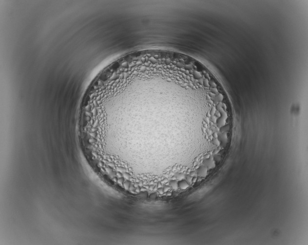 X0000113210957200910011317