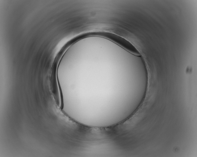 X0000113210960200910011317