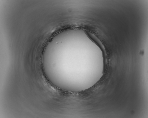 X0000113210961200910011316