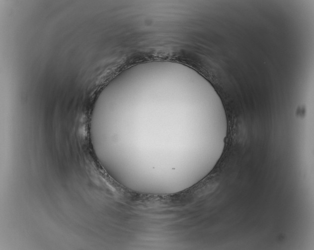 X0000113210962200910011316