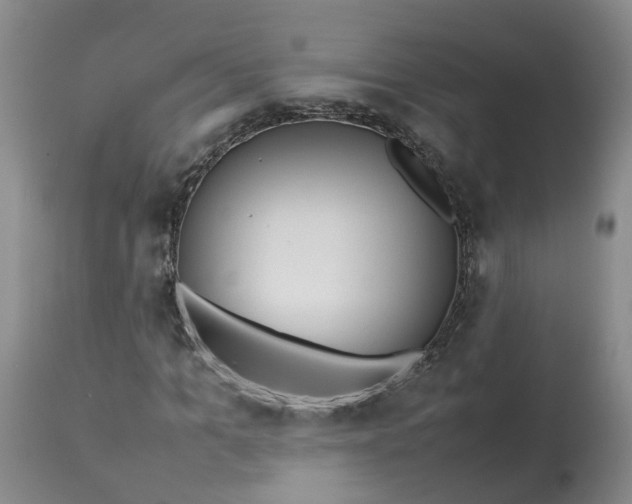 X0000113210965200910011316