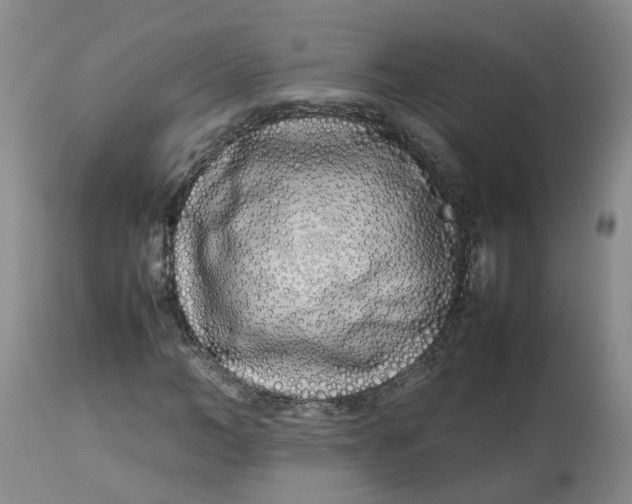 X0000113210966200910011316