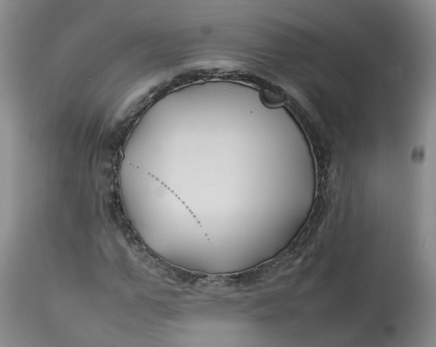 X0000113210967200910011316