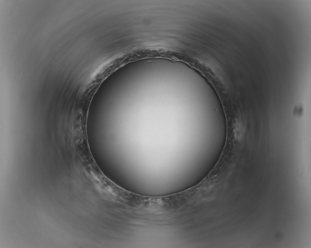 X0000113210968200910011316