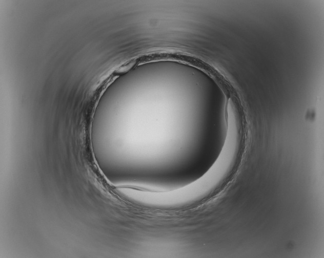 X0000113210969200910011316