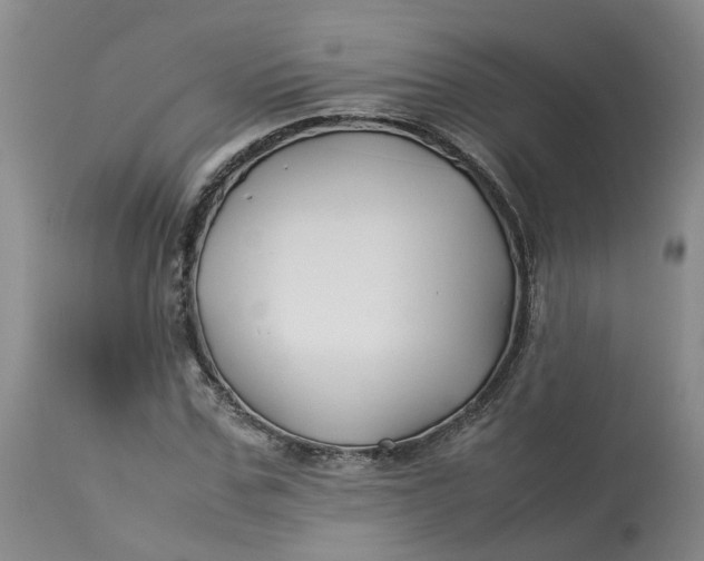 X0000113210971200910011316