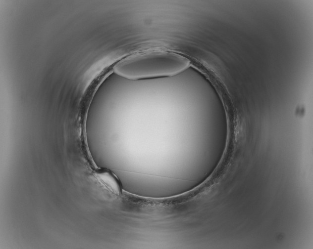 X0000113210973200910011316