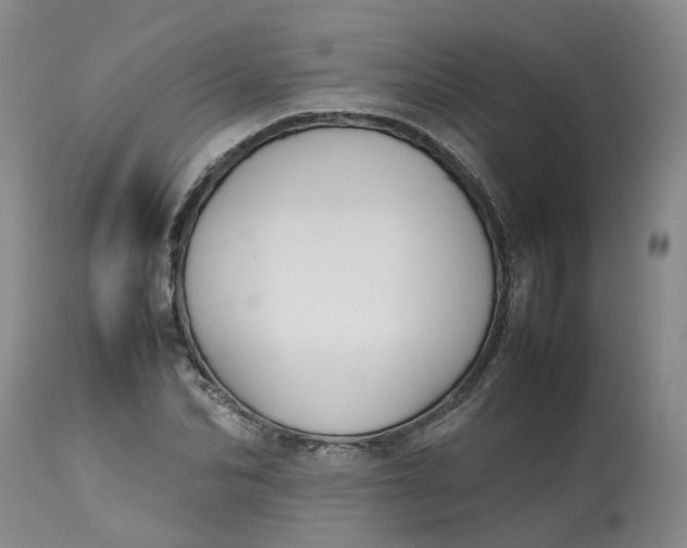 X0000113210974200910011316