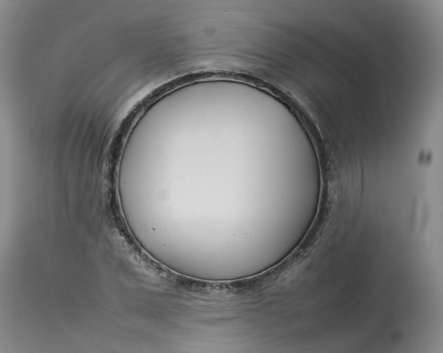 X0000113210975200910011316