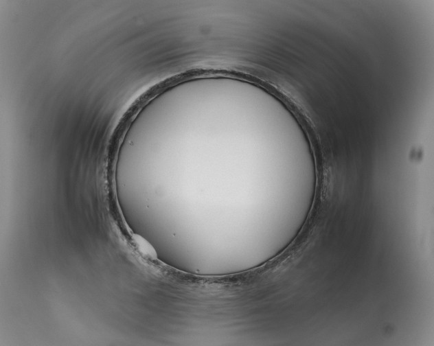 X0000113210976200910011316