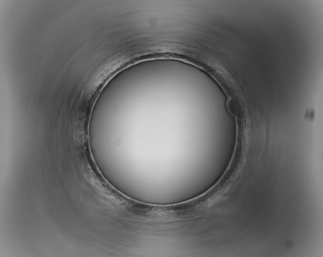 X0000113210977200910011316