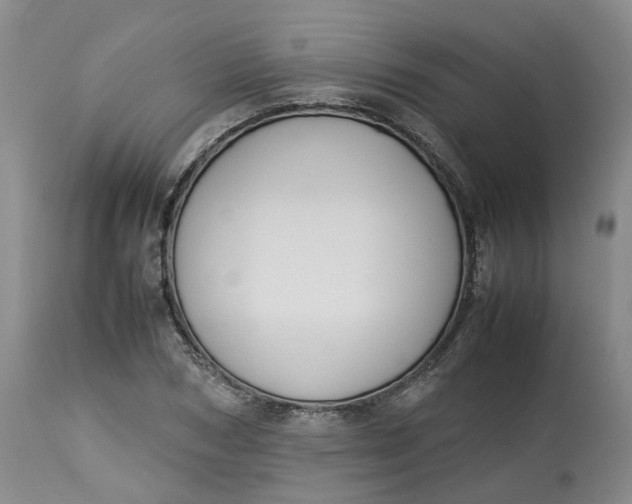 X0000113210978200910011316