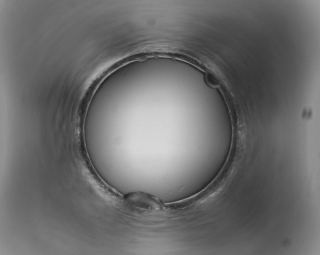 X0000113210981200910011316