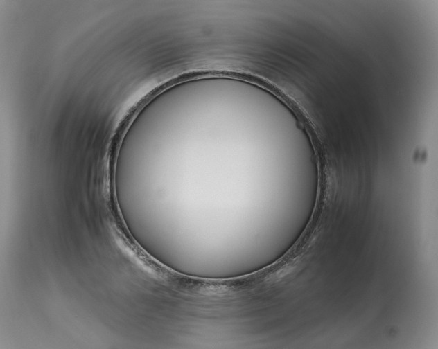 X0000113210982200910011316