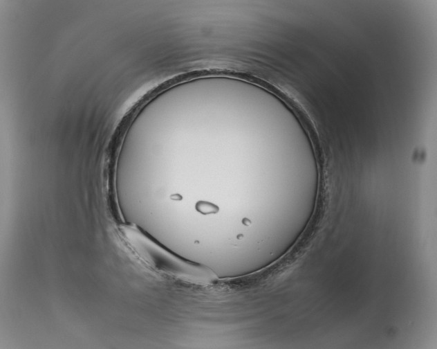 X0000113210983200910011316