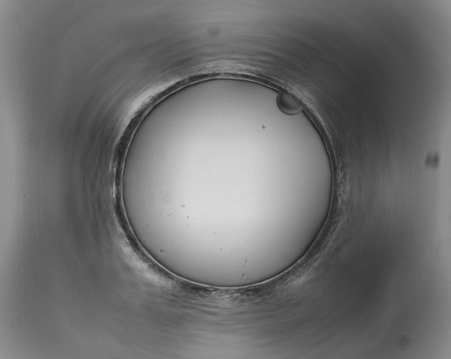 X0000113210987200910011316