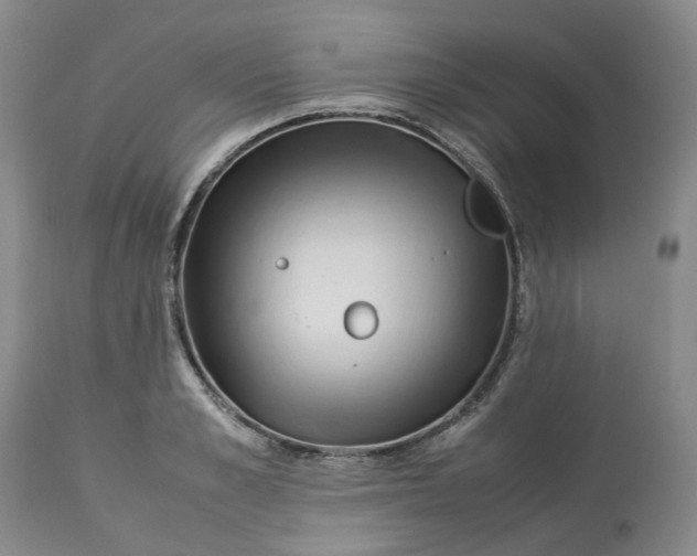 X0000113210989200910011316