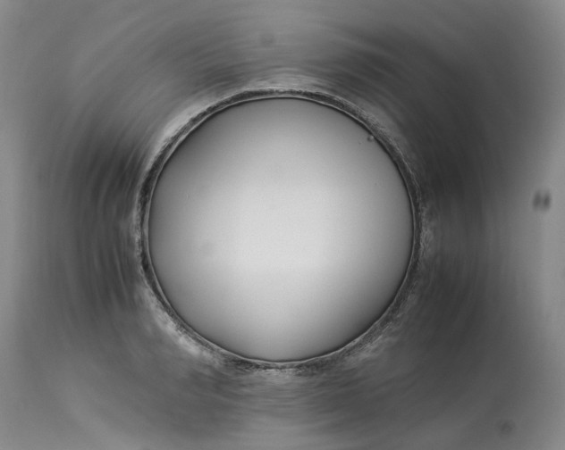 X0000113210990200910011316