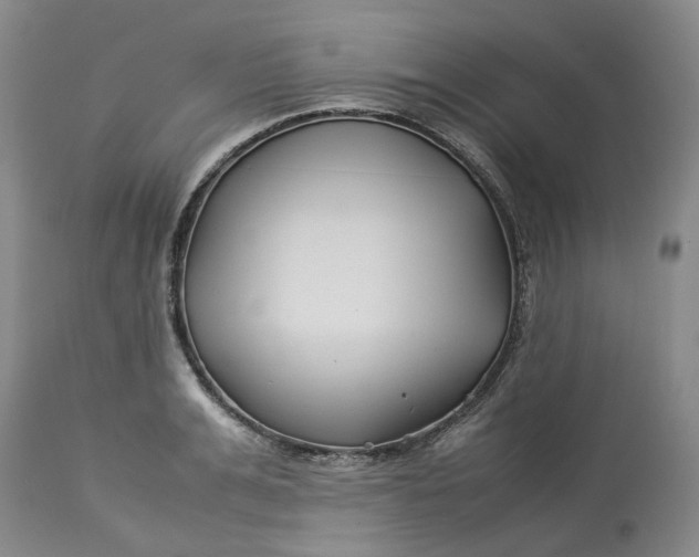 X0000113210991200910011315